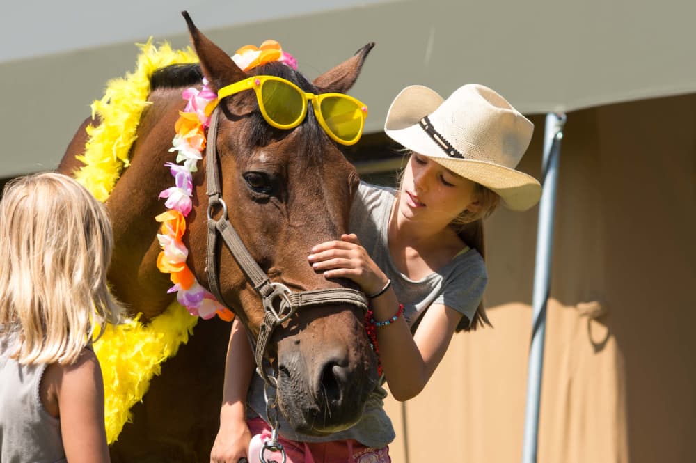 Breehees-afbeelding2