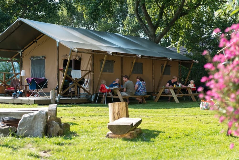 FiveStar-afbeelding3