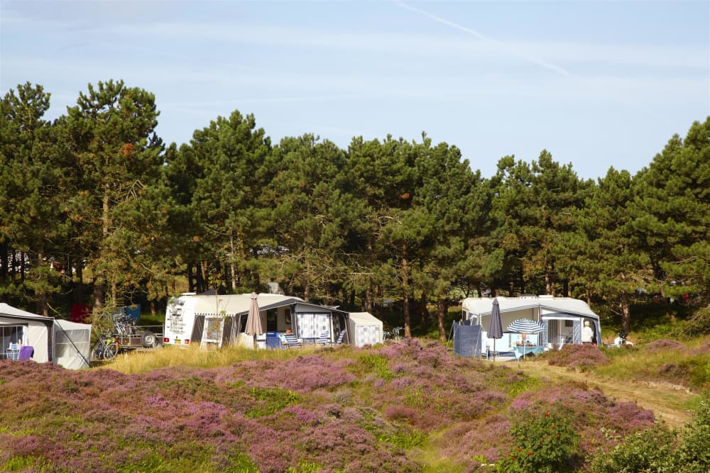 Loodsmansduin, Kampeerplaats XL met stroom