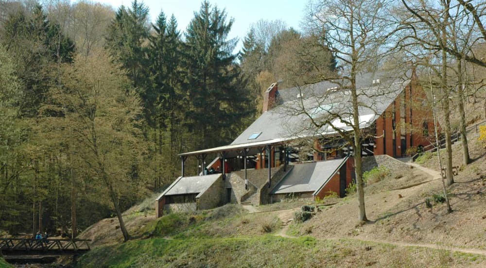 Bonsaï - Vakantiehuis Ardennen