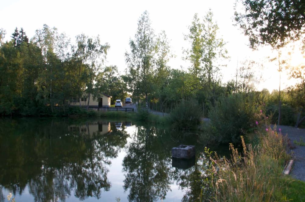 DSC 07.jpg