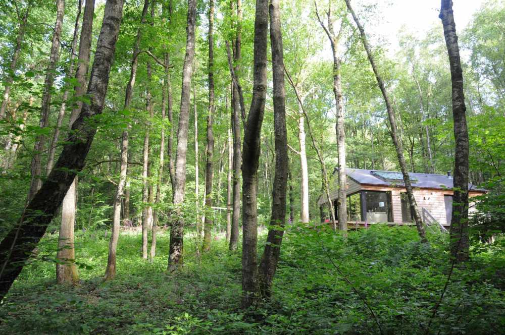 Drôles d'Ecureuils - Vakantiehuis Ardennen