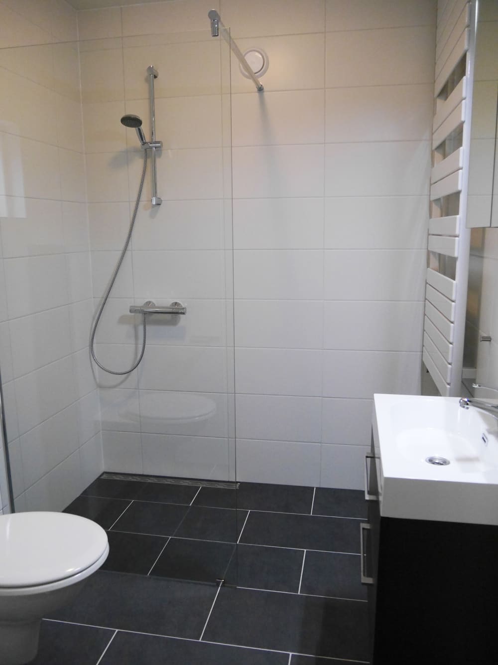 Tjasker 42   badkamer.jpg