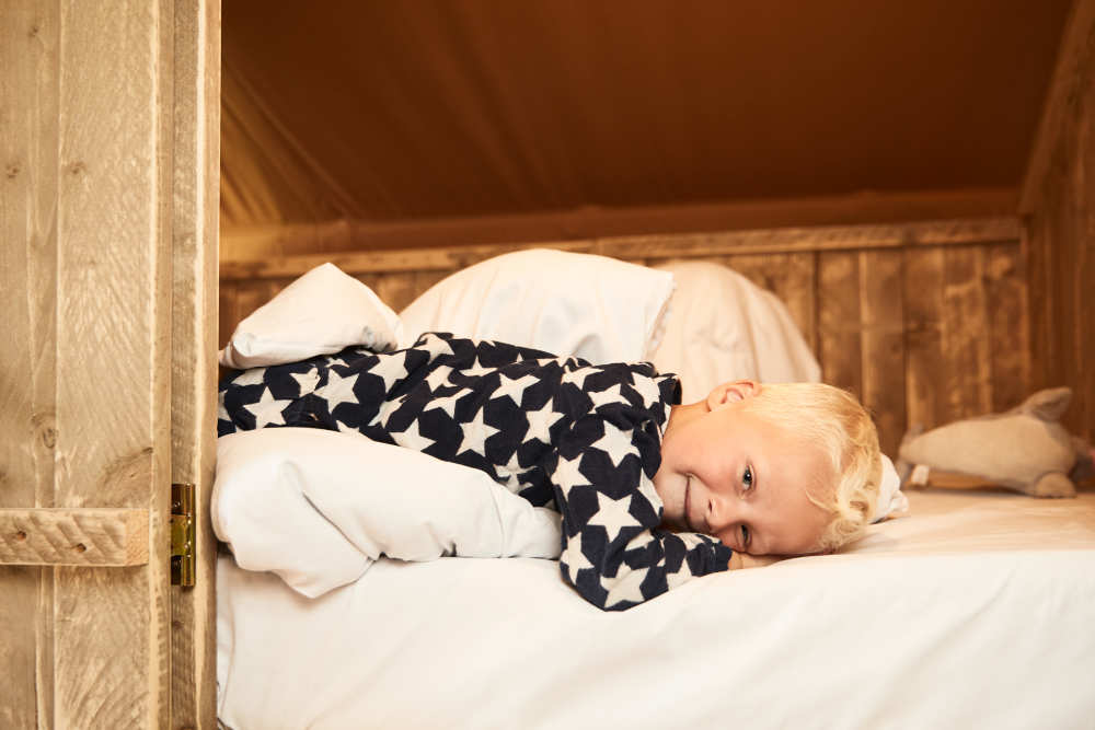 Ferienpark De Krim, Lodge Alkoven