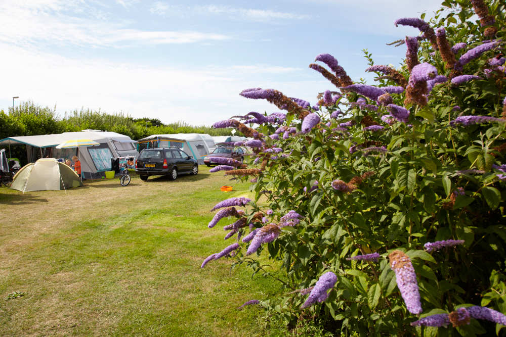 Komfortplatz, Camping De Shelter