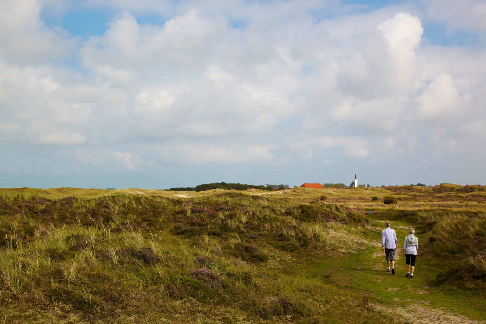 Den Hoorn, dunes