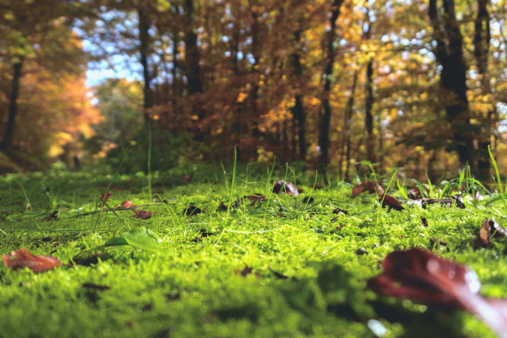 Fotoalbum Herbst auf Texel