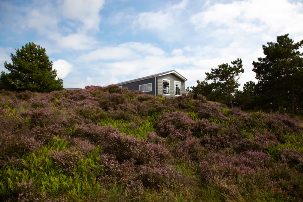 Chalet Campingplatz Loodsmansduin