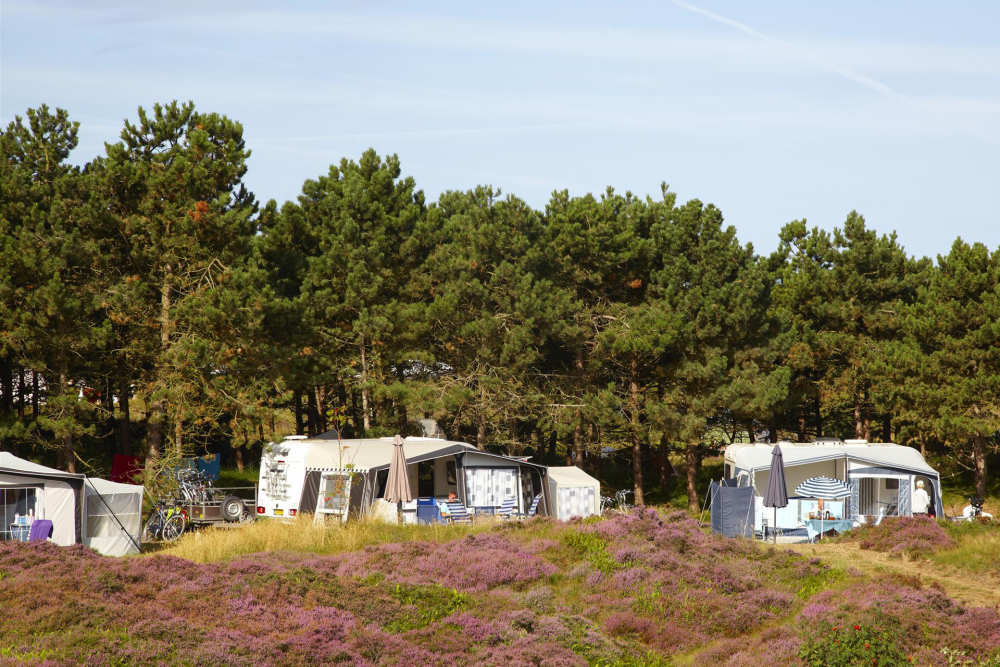 Camping Loodsmansduin, season pitch