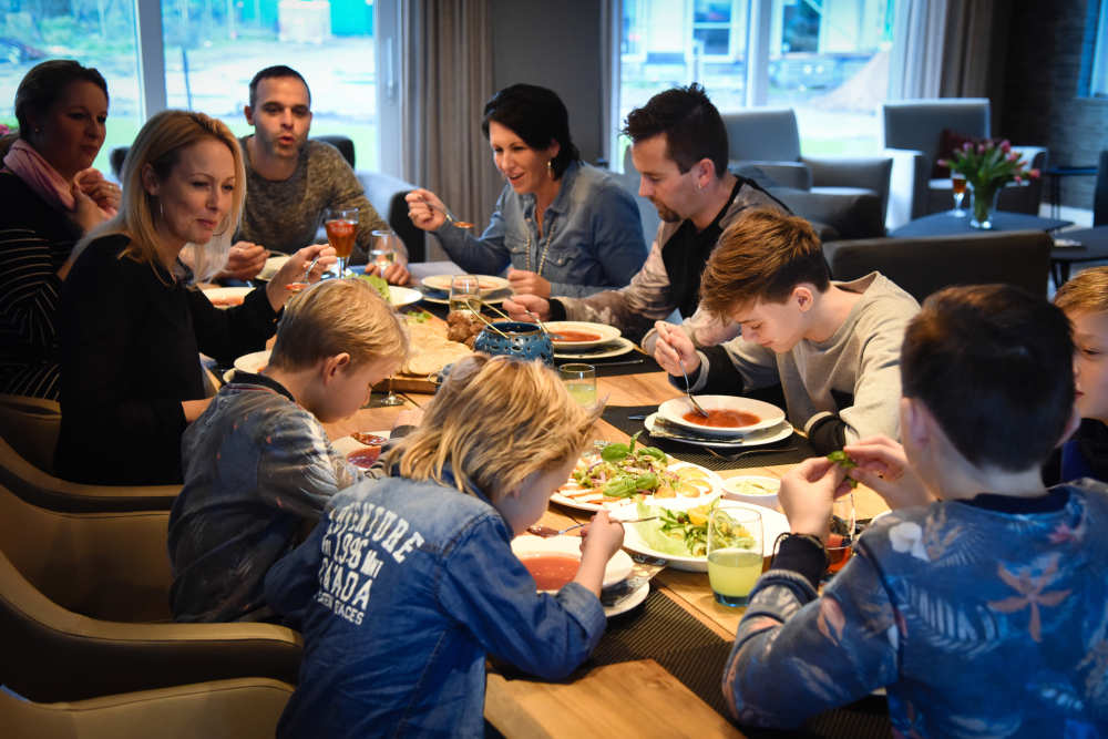 Bungalowpark 't Hoogelandt, luxurious villa with wellness