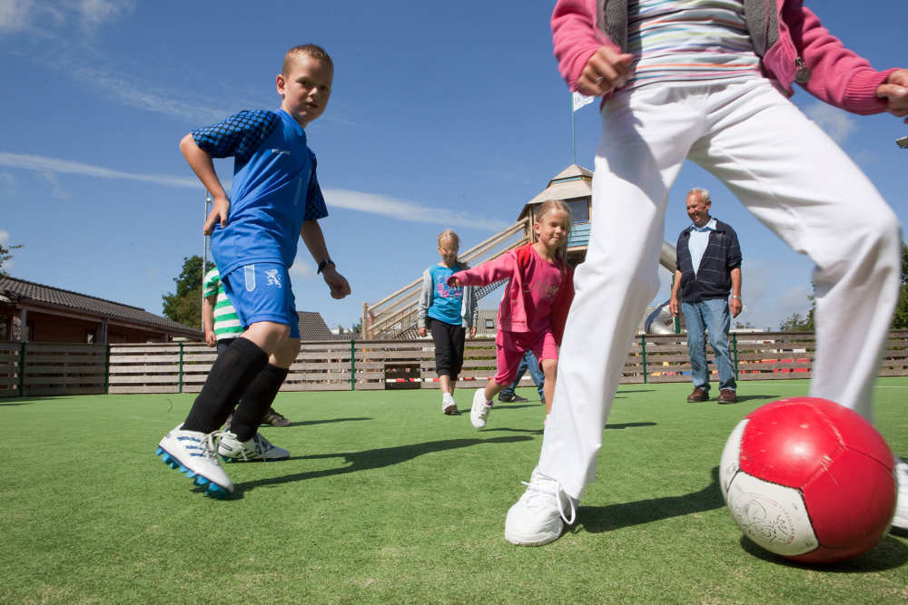 Ferienpark De Krim, Spielfeld