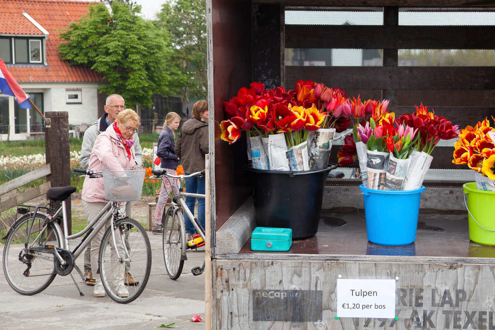 Den Burg, flower stand