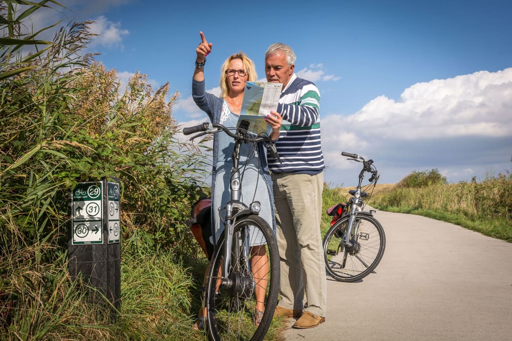 Bike puzzle tour