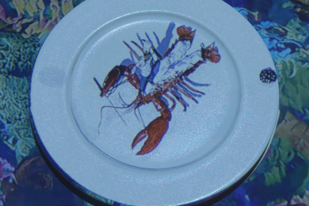 Fotoalbum Le Petit Chef im Restaurant 't Paviljoen