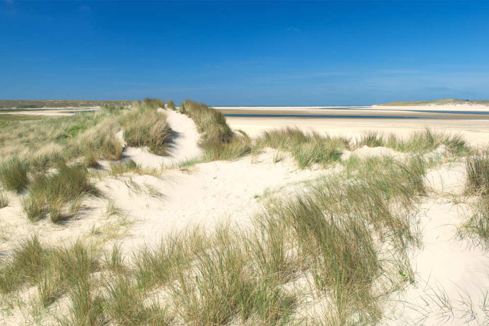 Dünen Texel