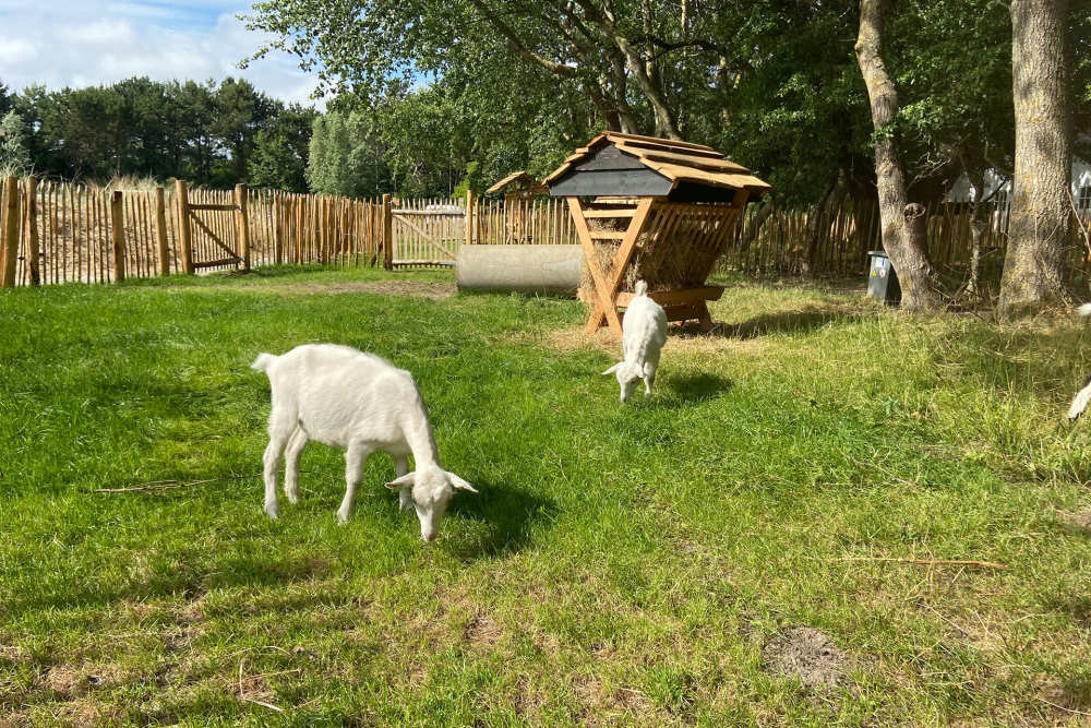 Ferienpark De Krim, Krim Natuuravontuur