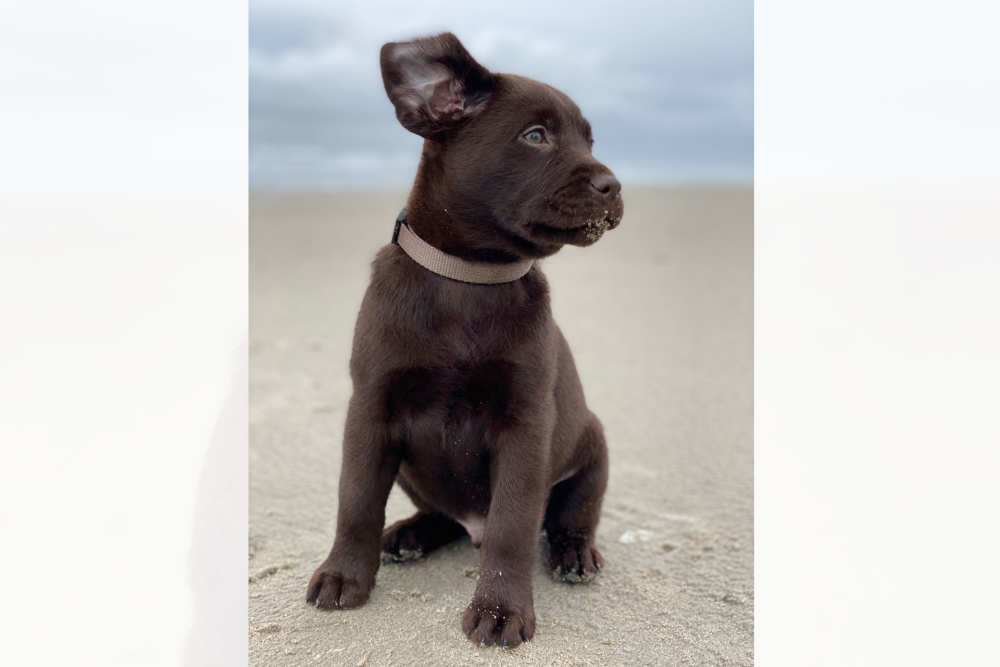 Foto: Sergej Koopmans