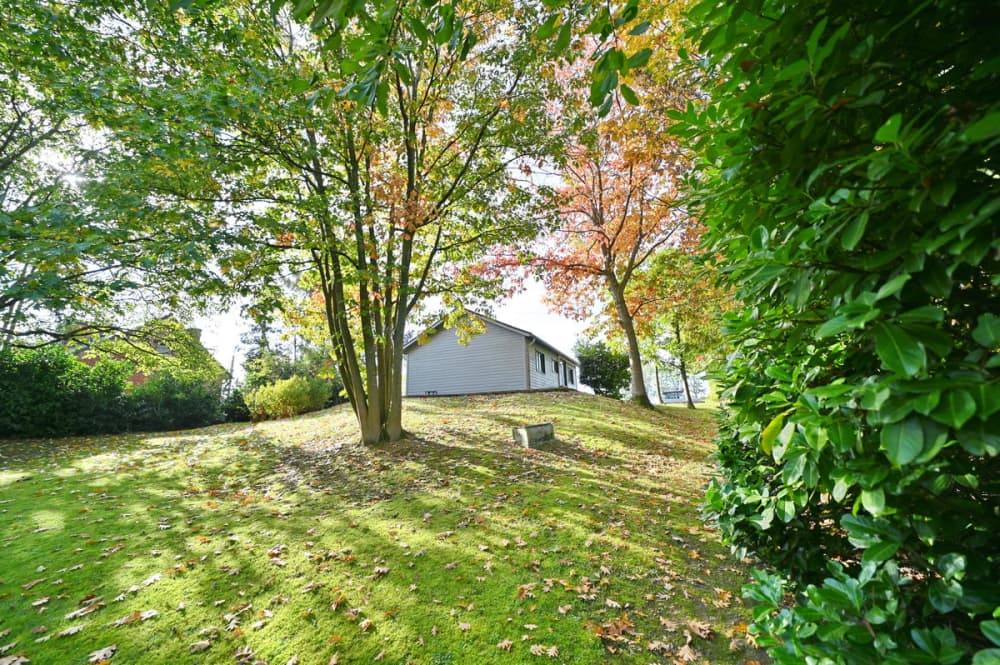 Chalet Hortensias 15 redimensionner