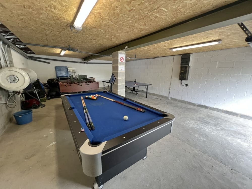 Chalet Hortensias 21 redimensionner