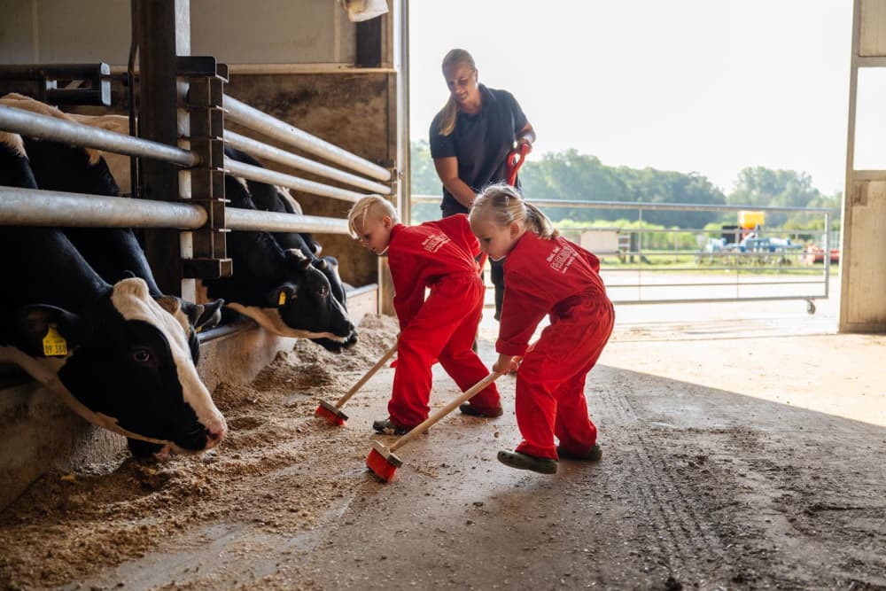 FarmCamps De Kalverliefde Limburg kinderen in 