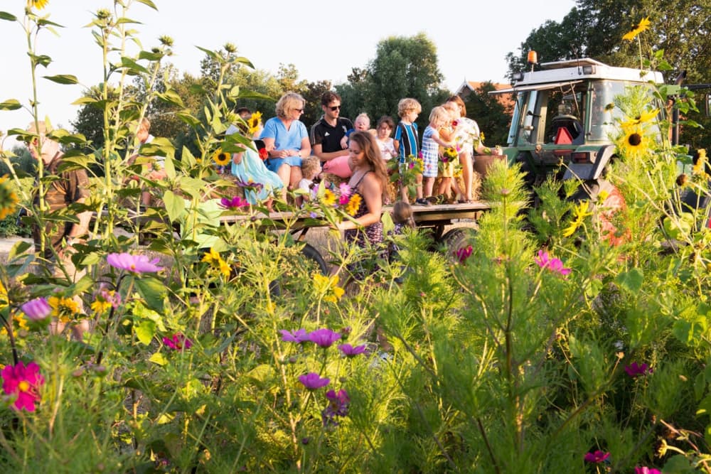 FarmCamps Oranjepolder Zeeland platte wagen tr