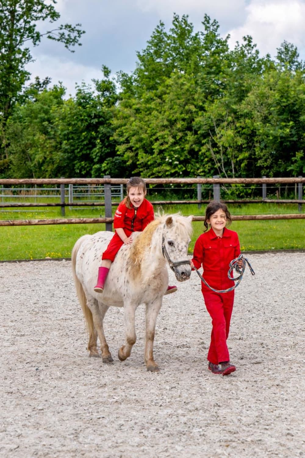 FarmCamps Geele Bosch Friesland rijles pony me