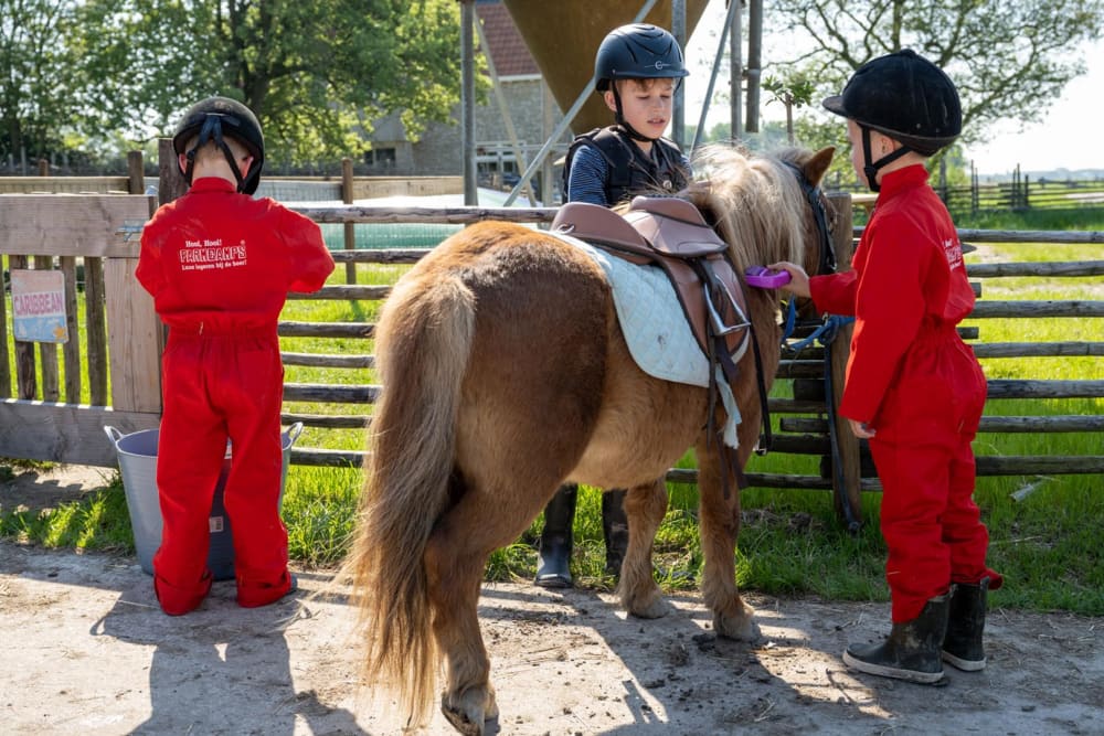 FarmCamps De Bonte Fries Friesland kinderen bi