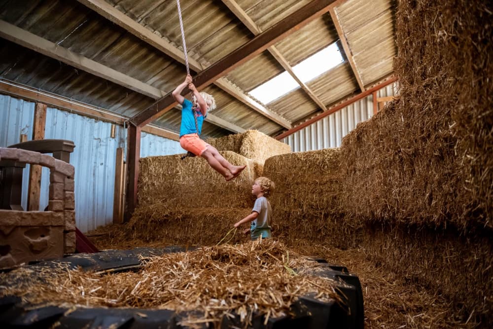 FarmCamps t Looveld Drenthe spelen slingeren h