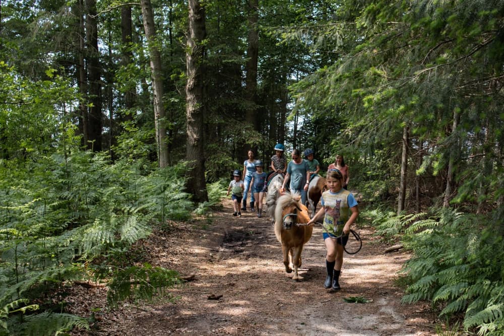 FarmCamps Breehees Brabant kinderen ouders pon