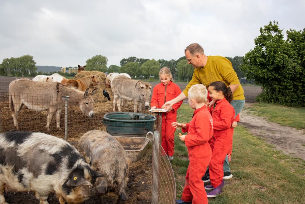 FarmCamps Breehees Brabant vader kinderen voer