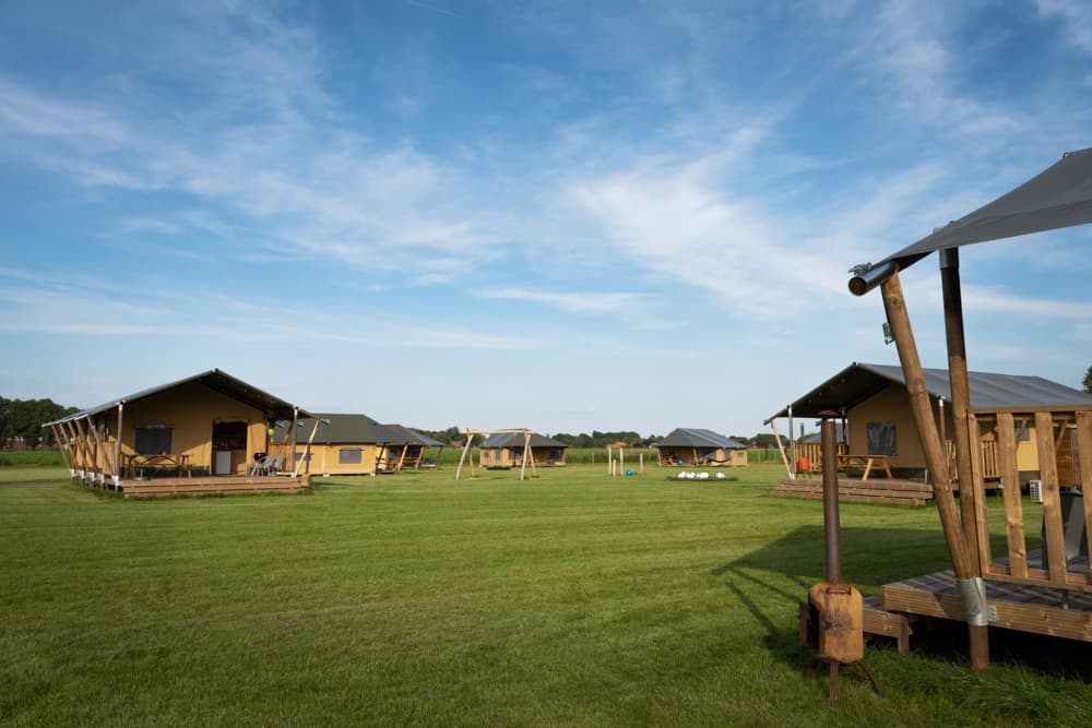 FarmCamps De Kalverliefde Limburg overzicht te