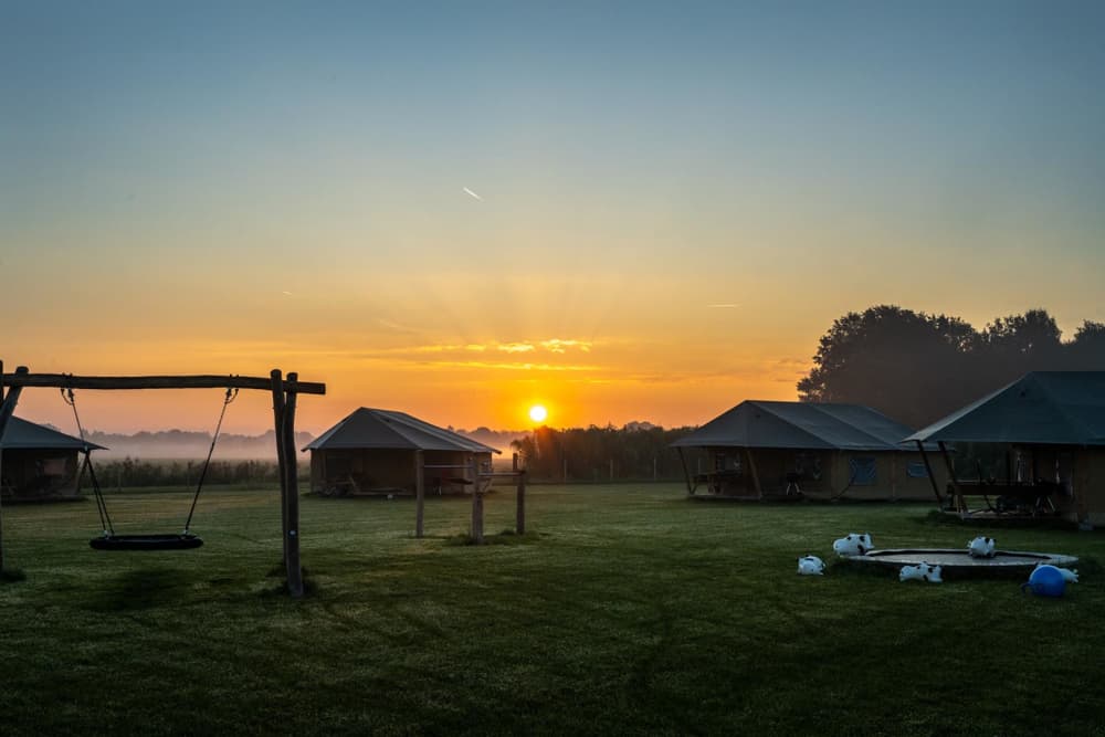 FarmCamps De Kalverliefde Limburg overzicht te