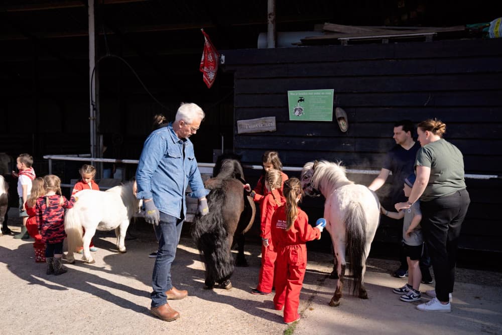 FarmCamps Five Star Zeeland pony's poetsen boe