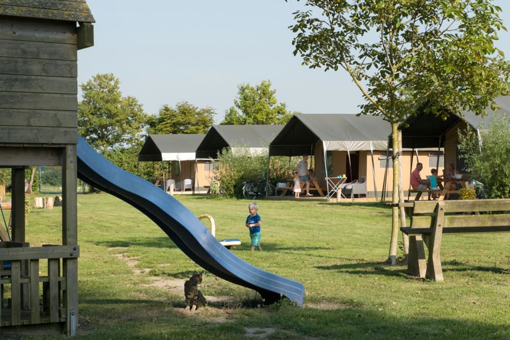 FarmCamps Five Star Zeeland tentenveld speeltu