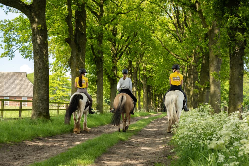FarmCamps Holzik Stables Overijssel meisjes o
