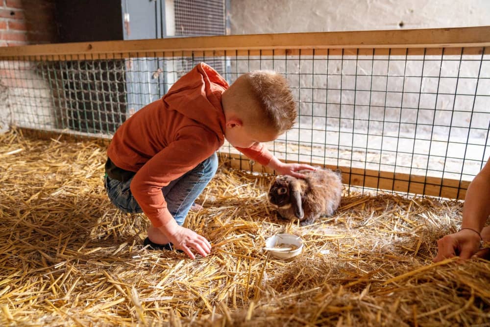 FarmCamps Hoeve Luyterheyde Noord-Brabant jong