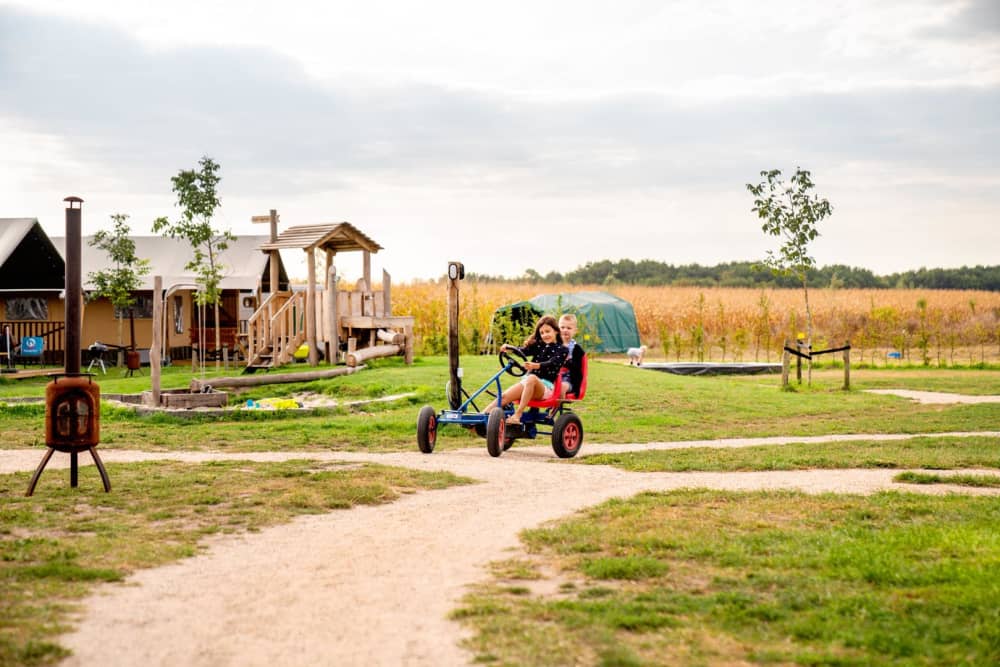 FarmCamps Hoeve Luyterheyde Noord-Brabant jong
