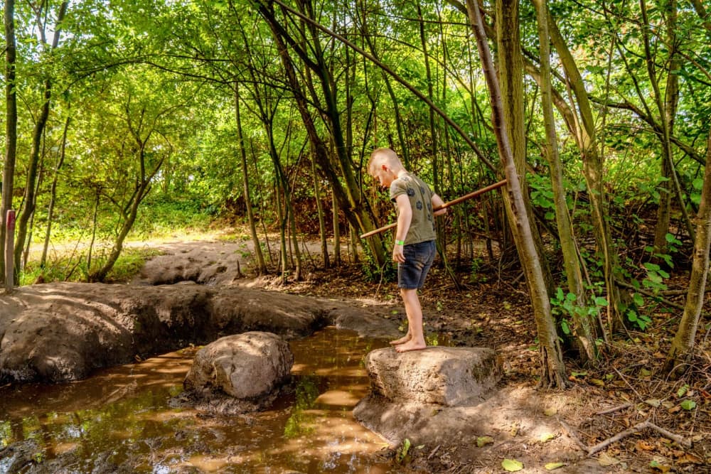 FarmCamps Hoeve Luyterheyde Noord-Brabant jong