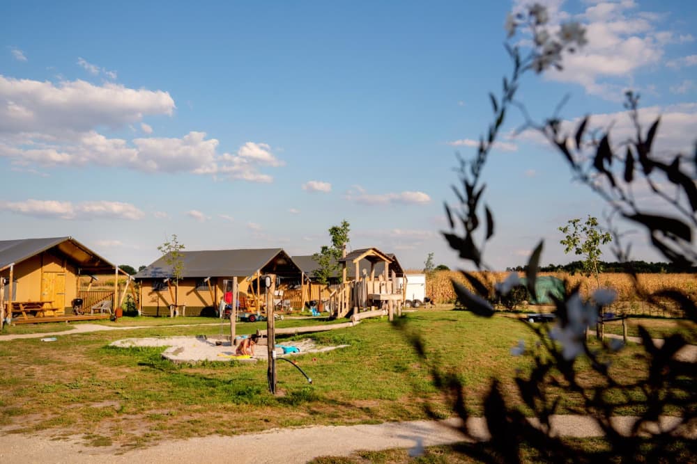 FarmCamps Hoeve Luyterheyde Noord-Brabant tent