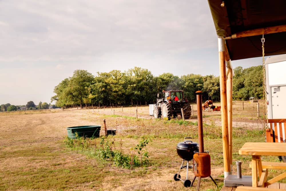 FarmCamps Hoeve Luyterheyde Noord-Brabant trac