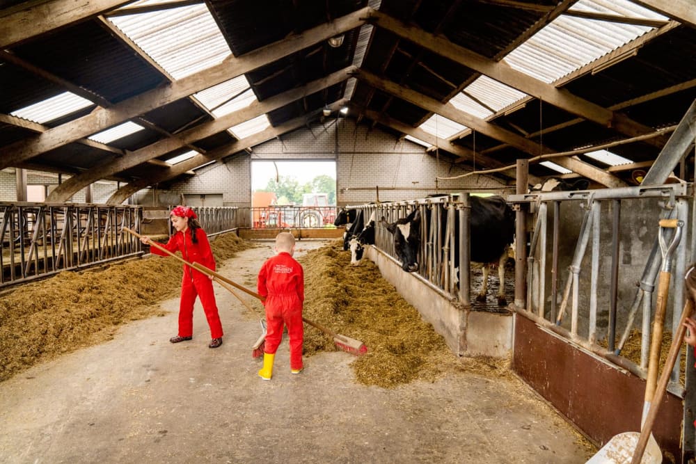 FarmCamps Op de Beemd Brabant helpen voer aanv