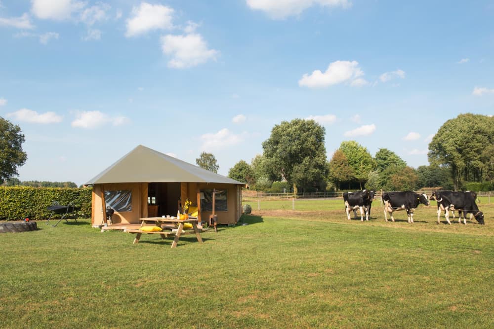 FarmCamps Op de Beemd Noord-Brabant haytent pi