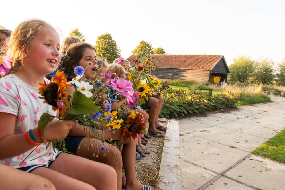 FarmCamps Oranjepolder Zeeland ritje platte wa