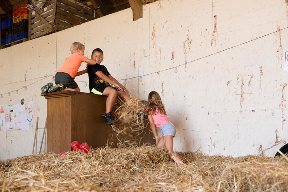 FarmCamps Oranjepolder Zeeland spelen hooischu