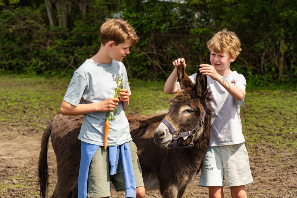 FarmCamps Holzik Stables Overijssel jongens m