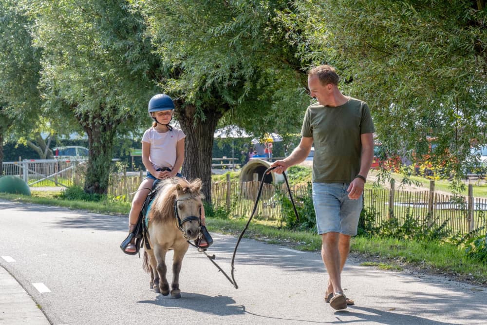 FarmCamps de Buitenhoeve Gelderland pony rijde
