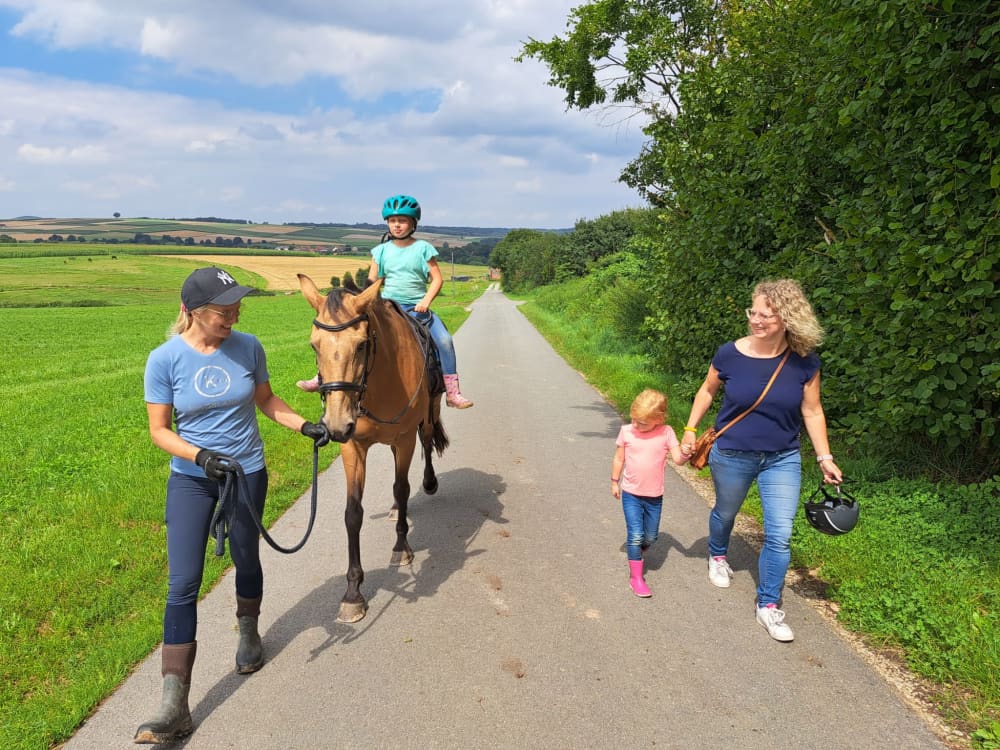 FarmCamps Soodehof Eins wandelen paarden weg p