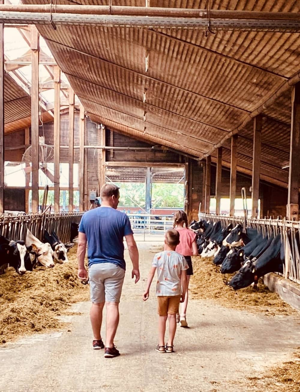 FarmCamps Soodehof Eins vader kinderen in koei