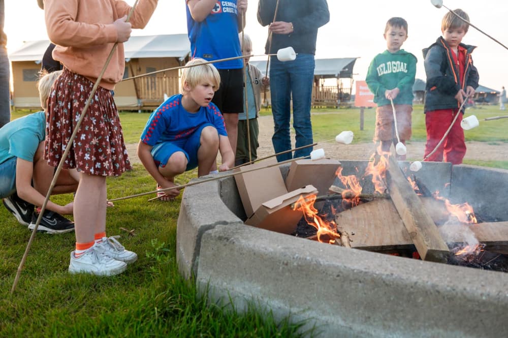 FarmCamps Kooij Hoeve Zuid-Holland kinderen bi