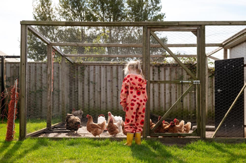 FarmCamps Kooij Hoeve Zuid-Holland meisje bij 